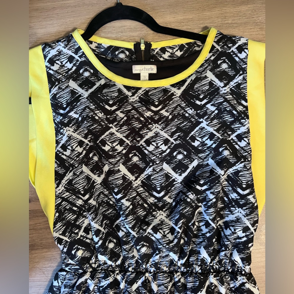 CHARMING CHARLIE DRESS - Picture 5 of 5